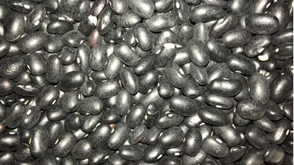 תמונה של שעועית שחורה - 100 גרם