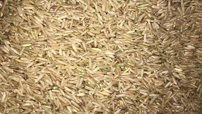 תמונה של אורז בסמטי מלא - 100 גרם