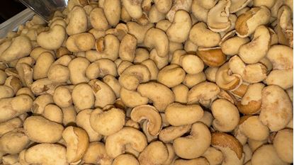 תמונה של קשיו תירס- 100 גרם